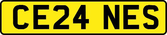 CE24NES