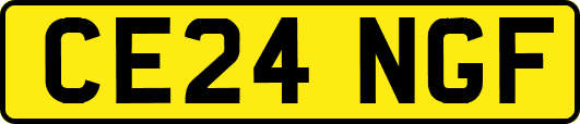 CE24NGF