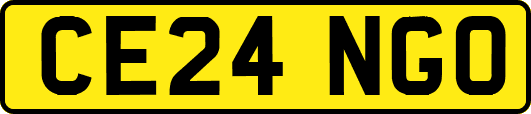 CE24NGO
