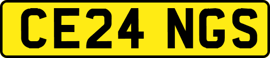 CE24NGS