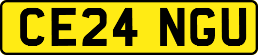 CE24NGU