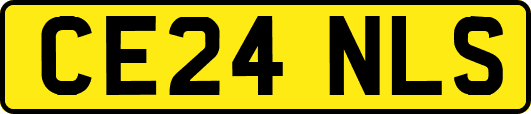 CE24NLS
