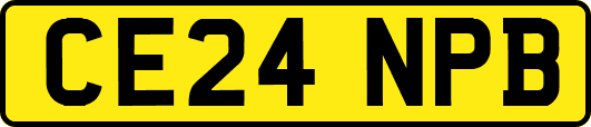 CE24NPB