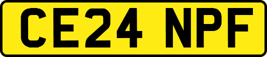 CE24NPF