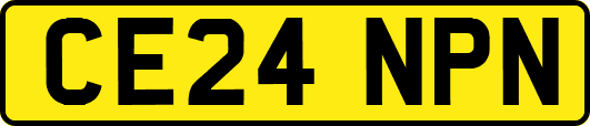 CE24NPN