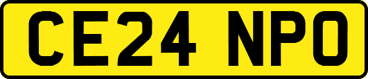 CE24NPO
