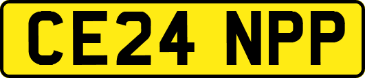 CE24NPP