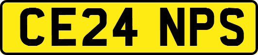 CE24NPS