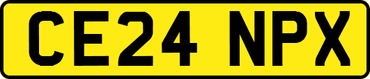 CE24NPX