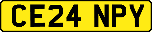 CE24NPY