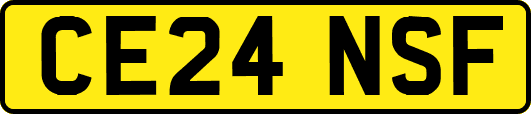 CE24NSF