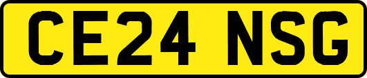CE24NSG