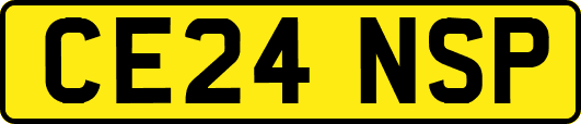 CE24NSP