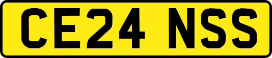 CE24NSS