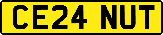 CE24NUT
