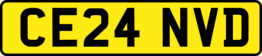 CE24NVD