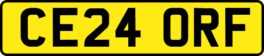 CE24ORF