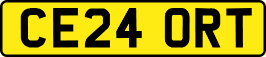 CE24ORT