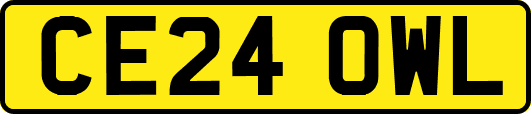 CE24OWL
