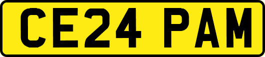 CE24PAM