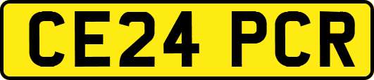 CE24PCR