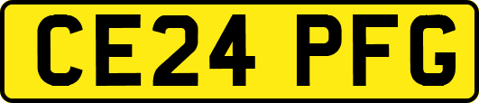 CE24PFG