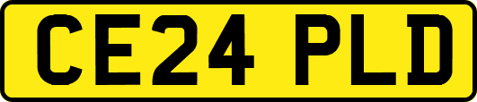 CE24PLD