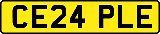 CE24PLE