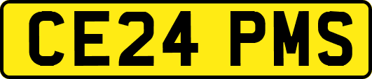 CE24PMS