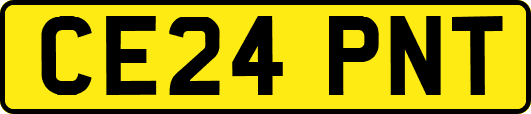 CE24PNT