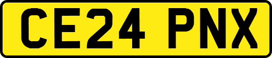 CE24PNX