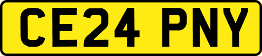 CE24PNY