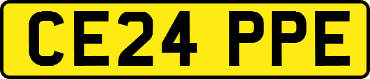CE24PPE