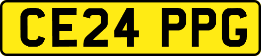 CE24PPG