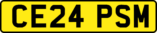 CE24PSM