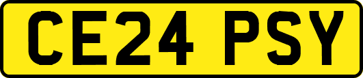 CE24PSY