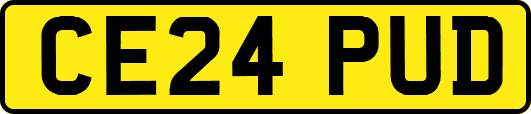CE24PUD