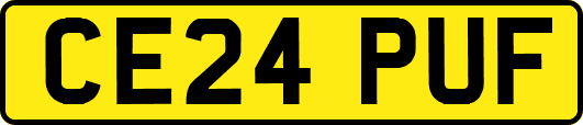 CE24PUF