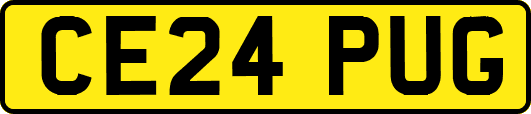 CE24PUG