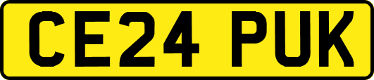 CE24PUK