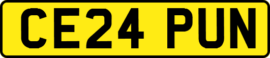 CE24PUN