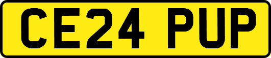 CE24PUP