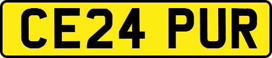 CE24PUR