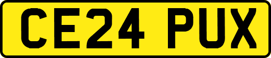 CE24PUX