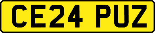 CE24PUZ