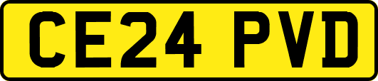 CE24PVD