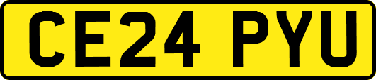 CE24PYU