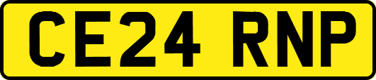 CE24RNP