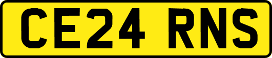 CE24RNS