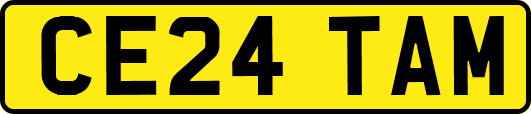 CE24TAM